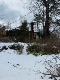 a view of a dry yard with a tree