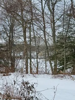 a view of snow on a road