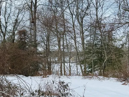 a view of snow covered with snow