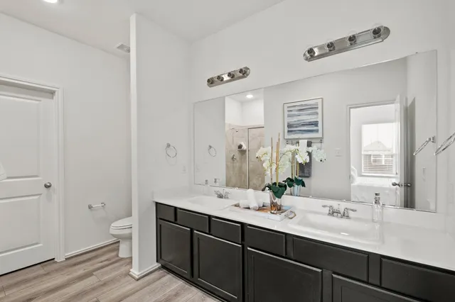a bathroom with a double vanity sink toilet and a mirror