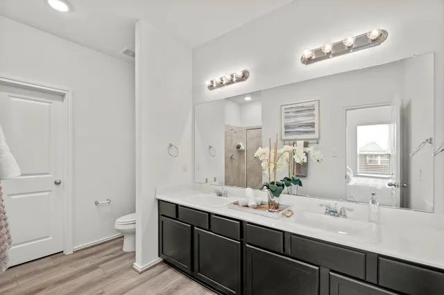 a bathroom with a double vanity sink toilet and a mirror