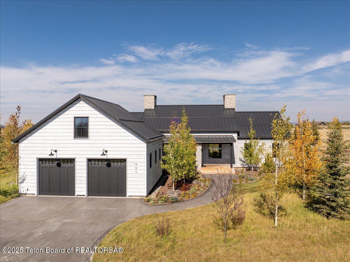 01-900 Mountain Bluebird-1