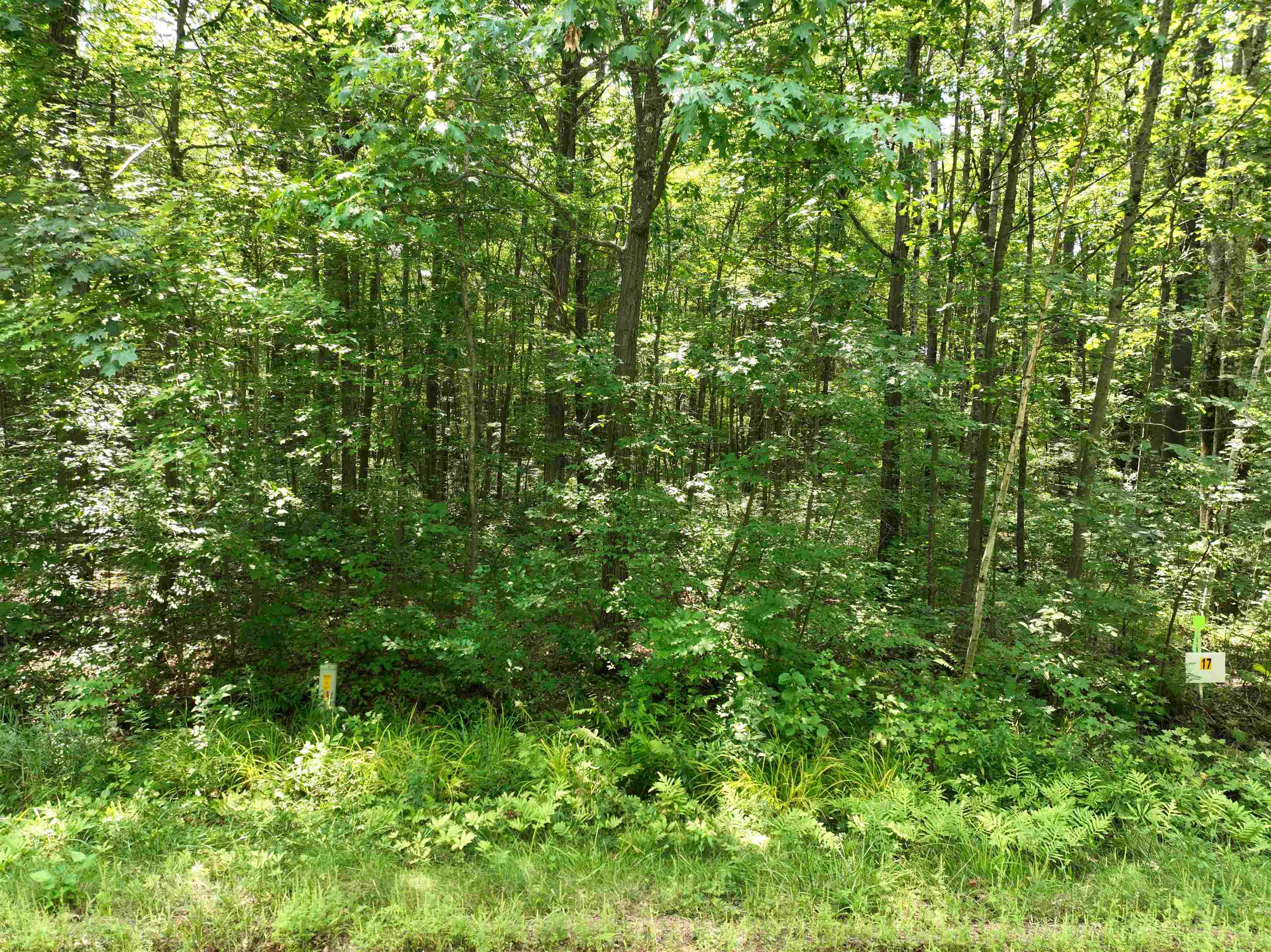 Lot 17 Burma Road Mosinee, WI 54455 - Photo 6 of 6 Gallery Image 6