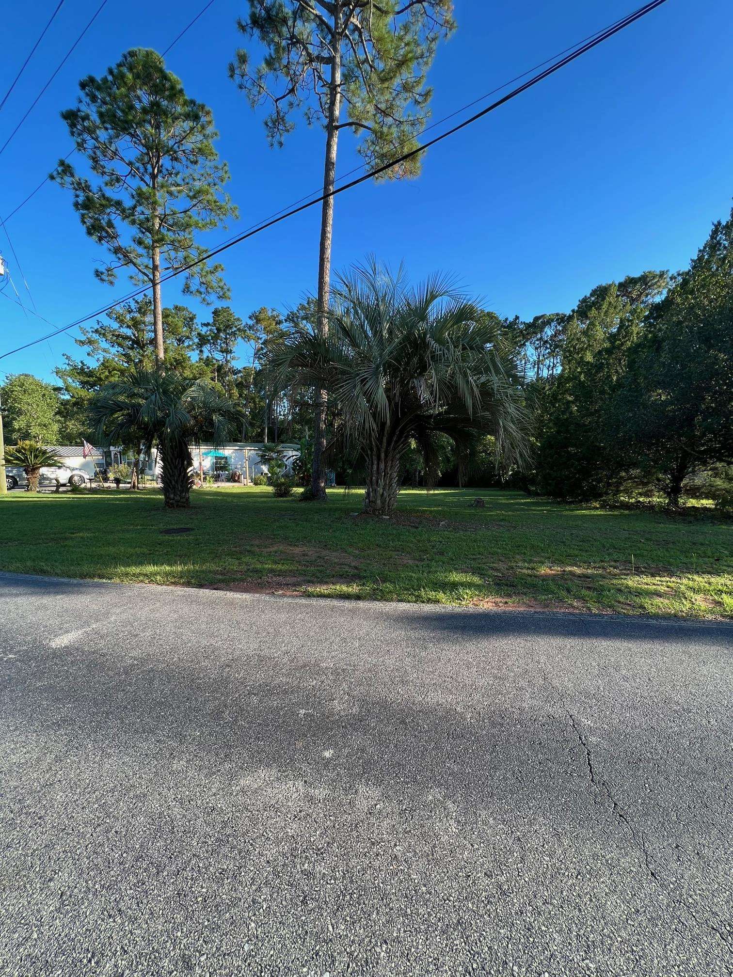 1405 Ridgewood Drive Lillian, AL 36549 - Photo 1 of 24