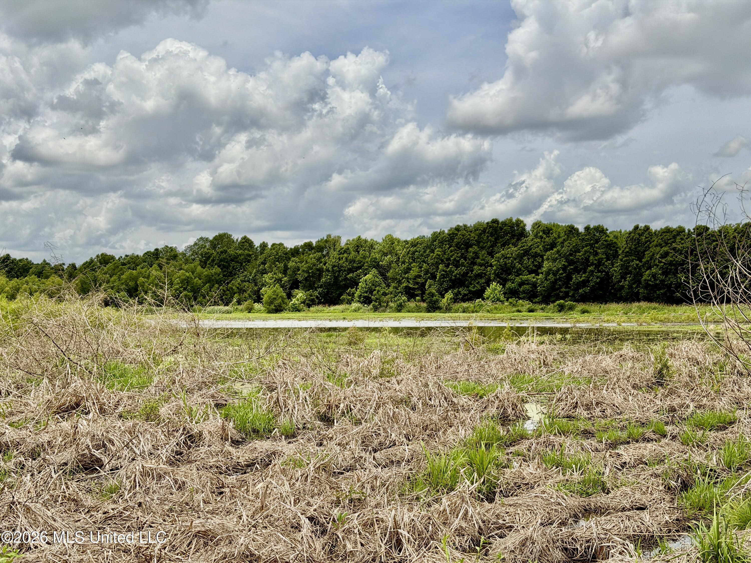 Airport Road Greenwood, MS 38930 - Photo 6 of 9 IMG_3384