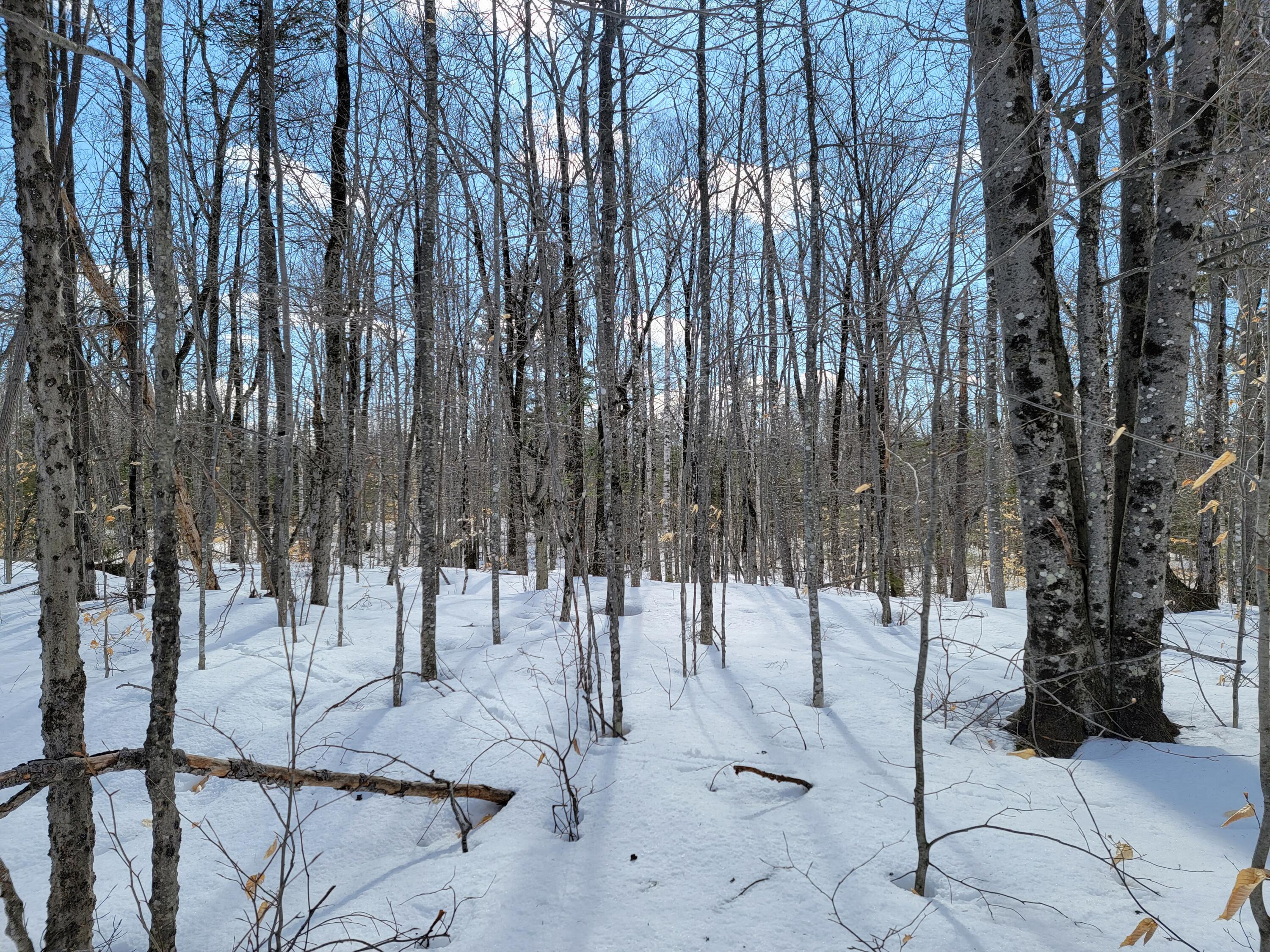 M3-l8a Roxbury Notch Road Roxbury, ME 04275 - Photo 22 of 37 Roxbury Notch Lot 8A