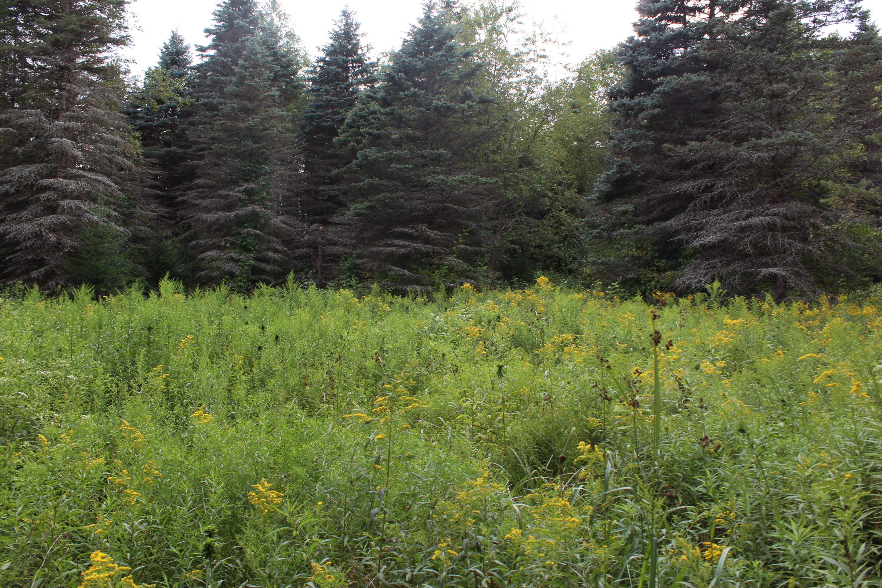 1630 Sanborn Road Mikado, MI 48745 - Photo 47 of 71 Gallery Image 47