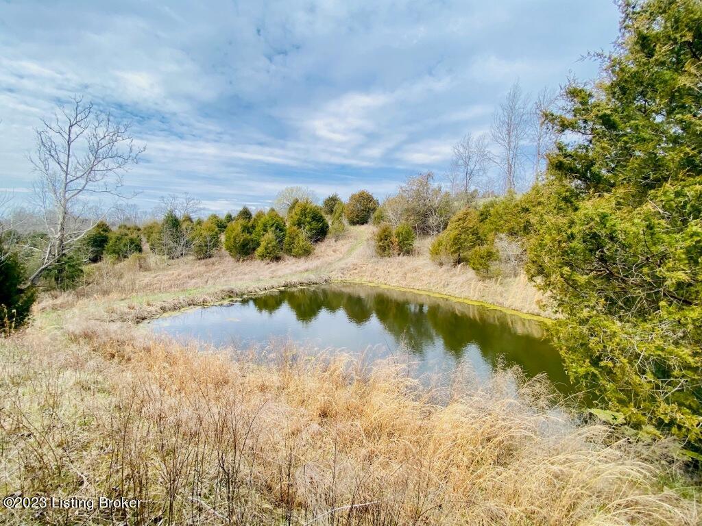Pond1