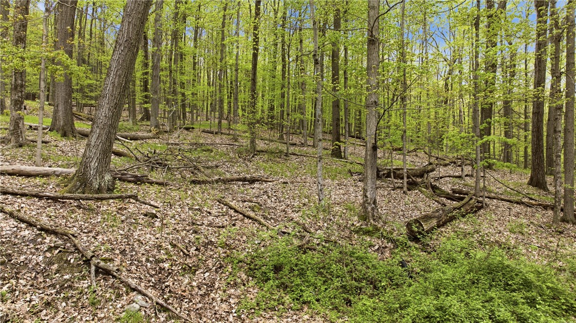 Silvernail Road Hammondsport, NY 14840 - Photo 10 of 25