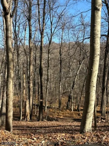 a view of outdoor space