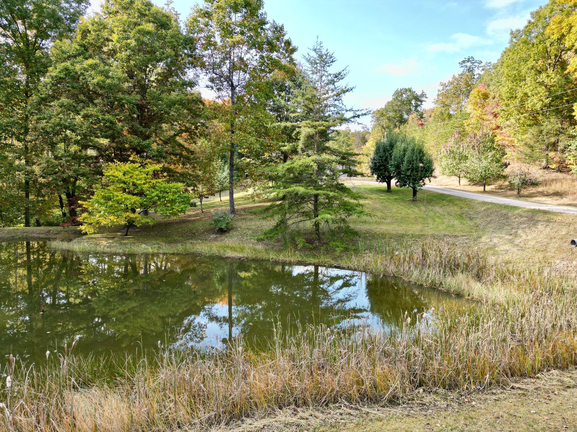 359 Silo Road Beattyville, KY 41311 - Photo 4 of 47 dji_fly_20221006_163318_74_1665362583920