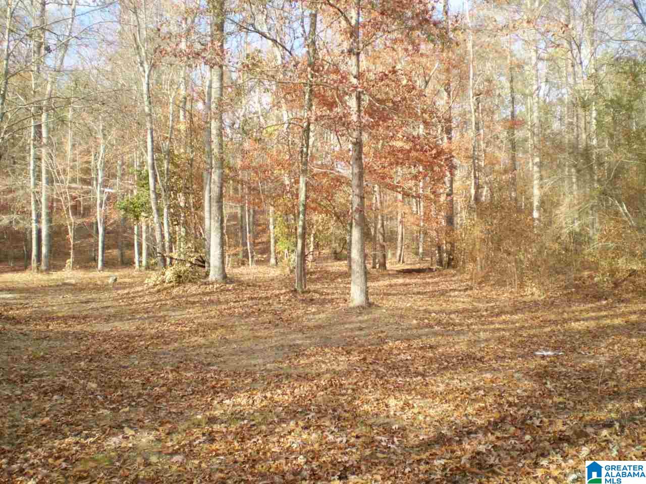 172 Waldrop Road, Unit 9 Ashville, AL 35953 - Photo 31 of 36