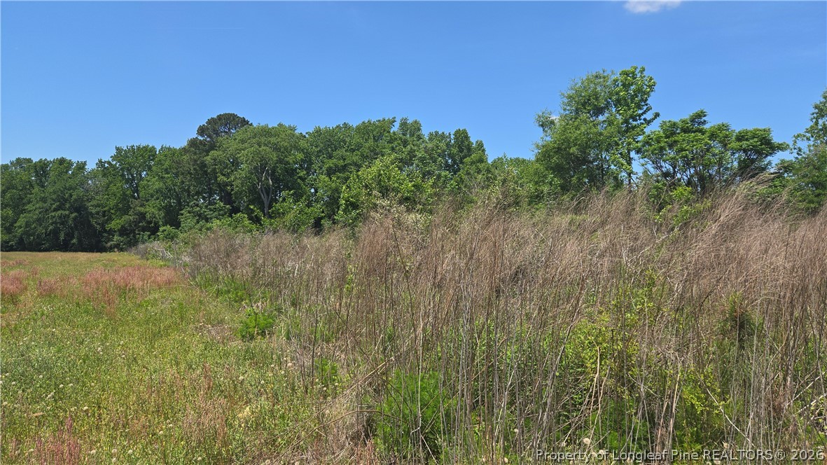 1634 Sweetie Road Fayetteville, NC 28312 - Photo 8 of 26