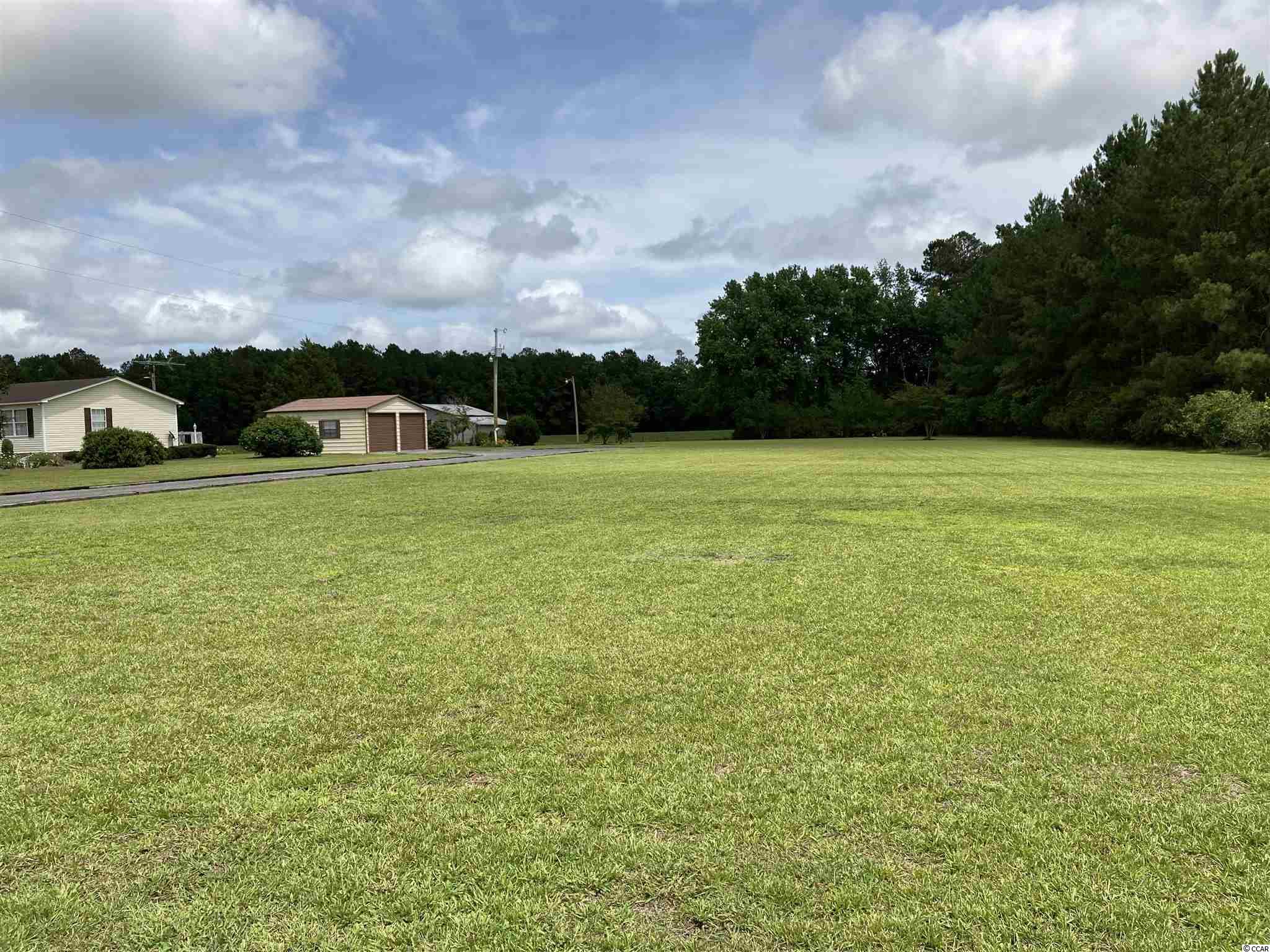 1446 Bullard Road Hemingway, SC 29554 - Photo 28 of 40 Gallery Image 28