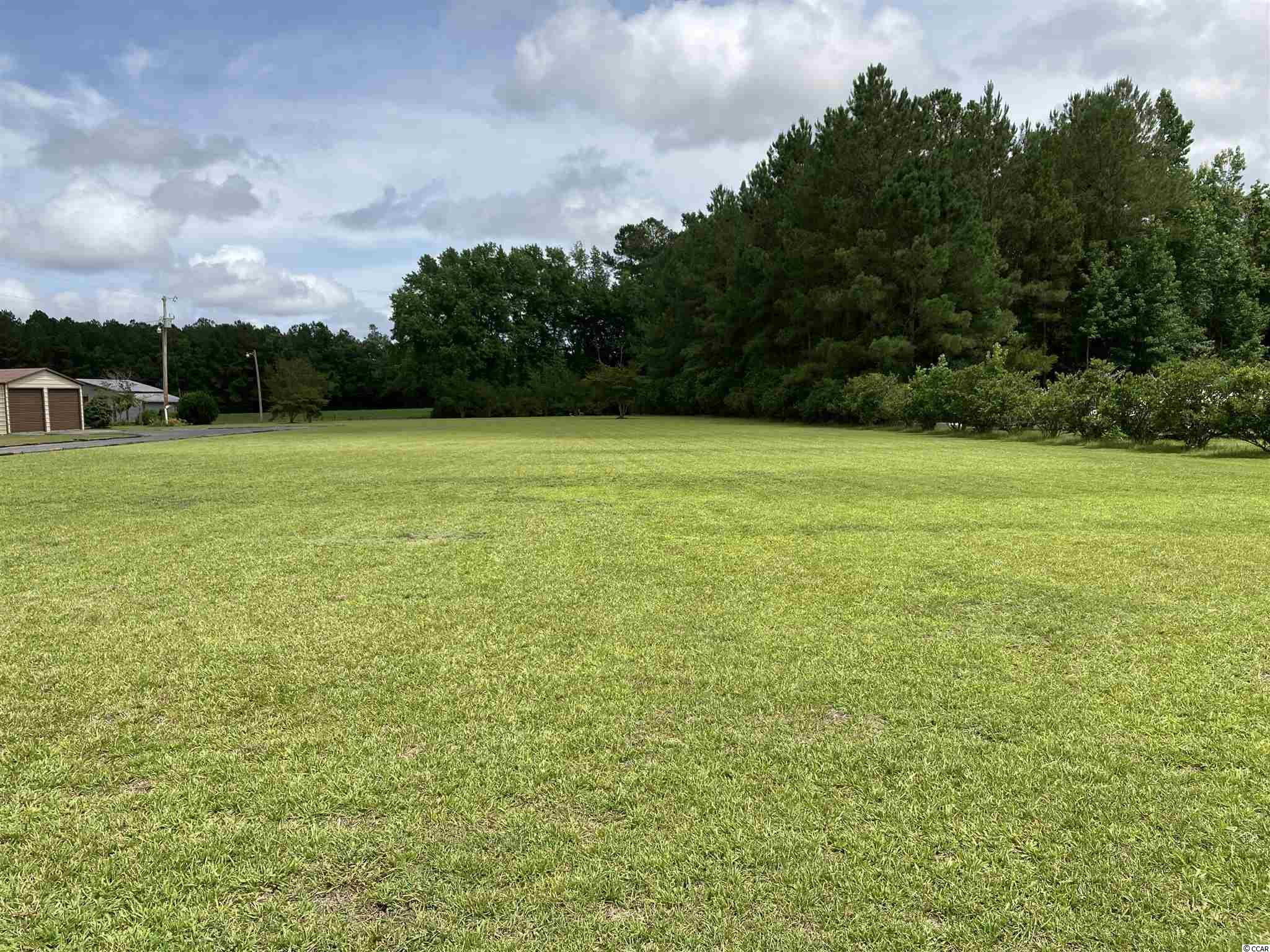 1446 Bullard Road Hemingway, SC 29554 - Photo 29 of 40 Gallery Image 29