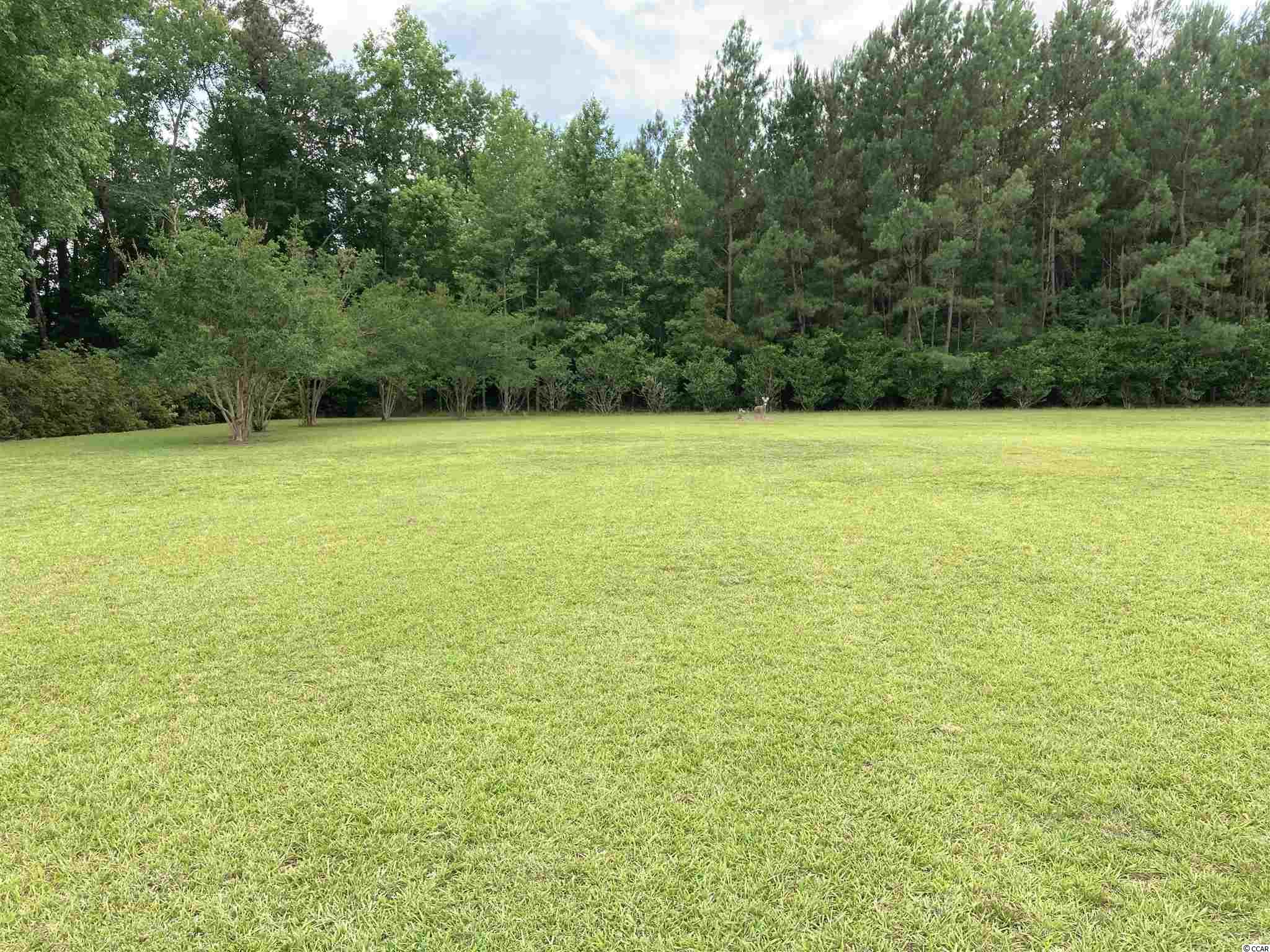 1446 Bullard Road Hemingway, SC 29554 - Photo 30 of 40 Gallery Image 30