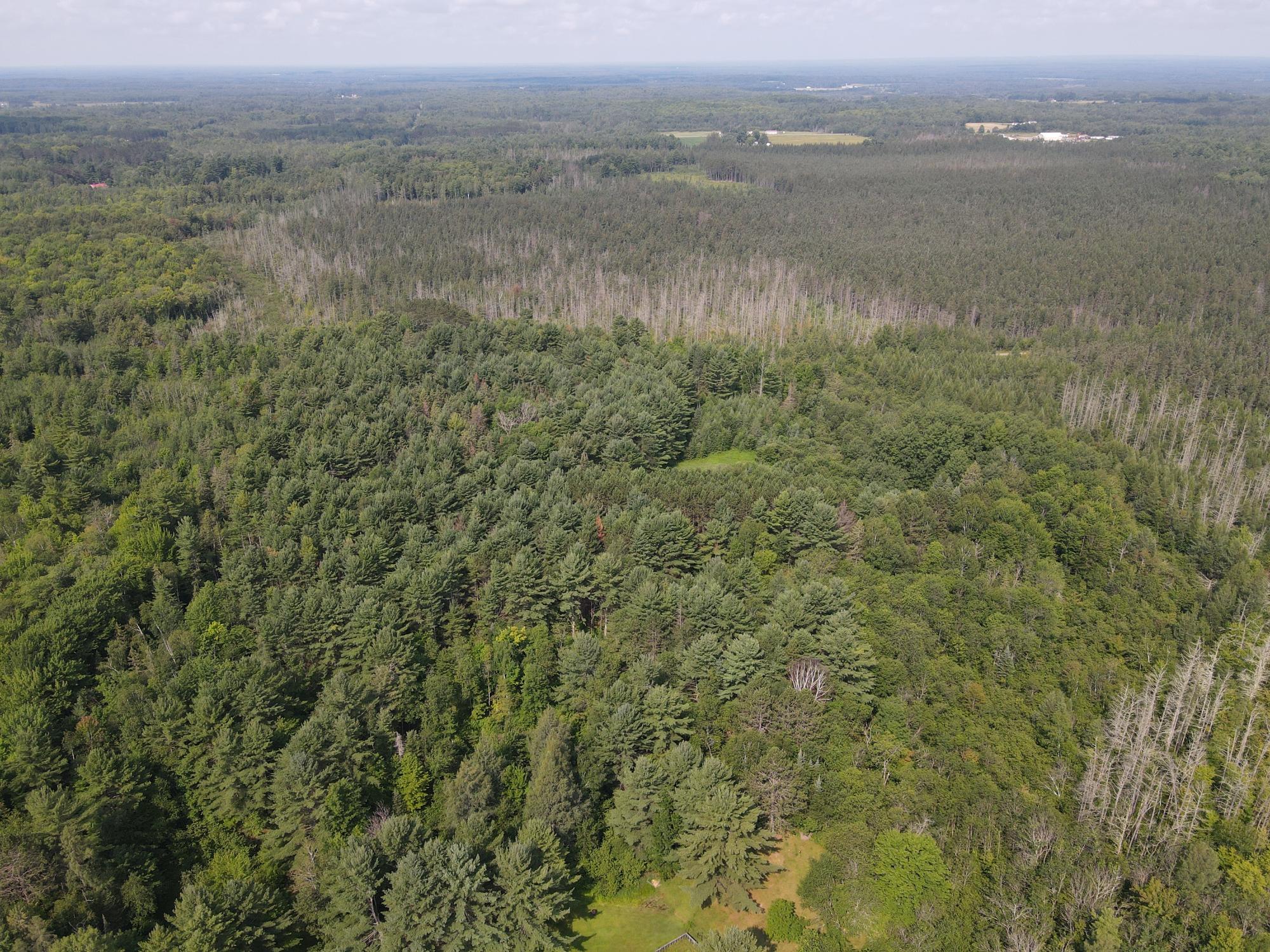 0 Dahl Road Ogema, WI 54459 - Photo 11 of 19 Gallery Image 11