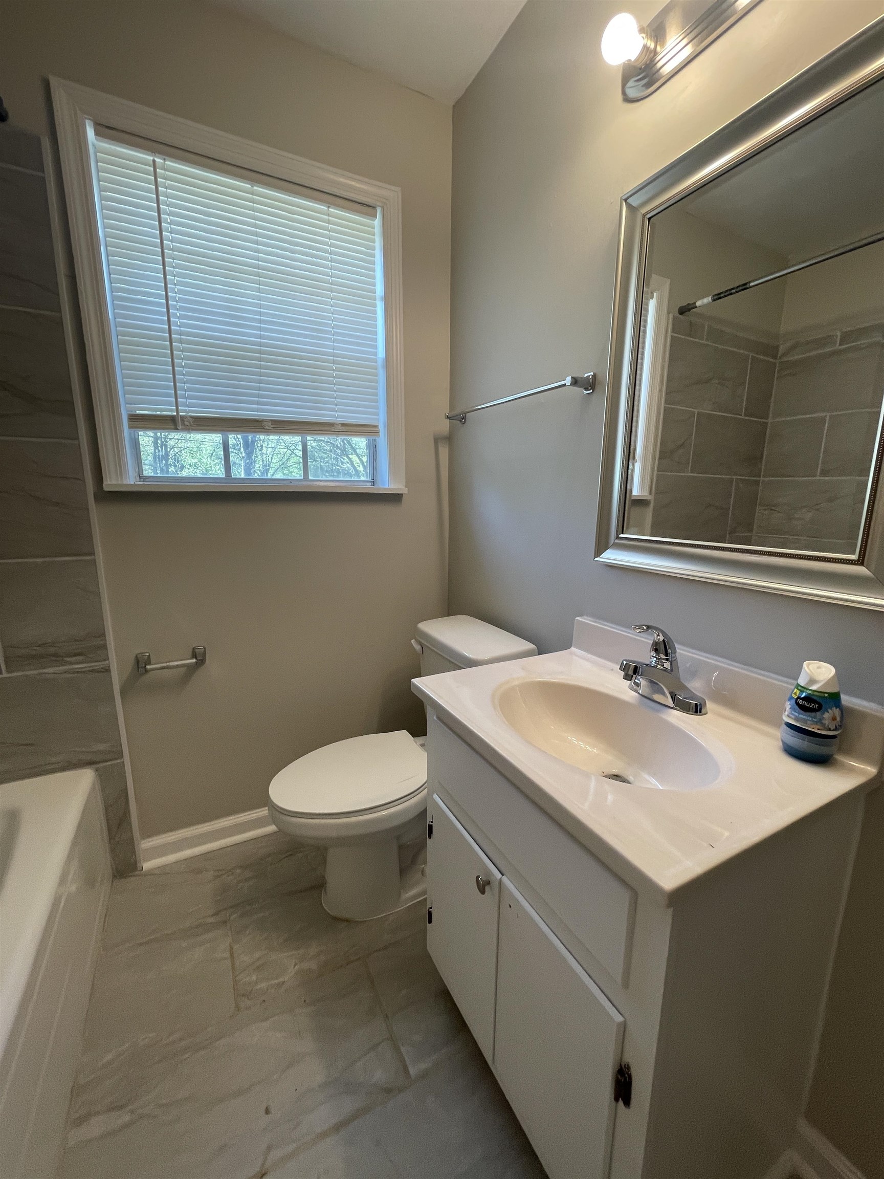 2987 Ruskin Road Bartlett, TN 38134 - Photo 11 of 12 a bathroom with a sink and a toilet