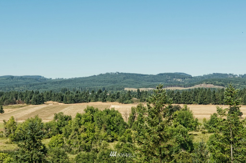 14224 Littlerock Road Southwest Rochester, WA 98579 - Photo 25 of 25