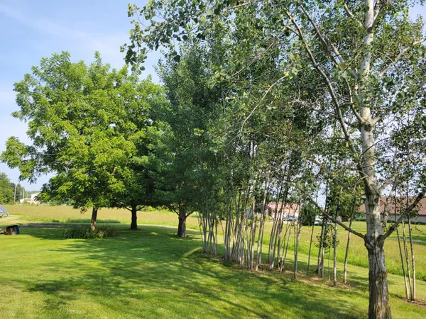 $1,600 | 205 Sharon Street, Unit A, Darien, WI 53114