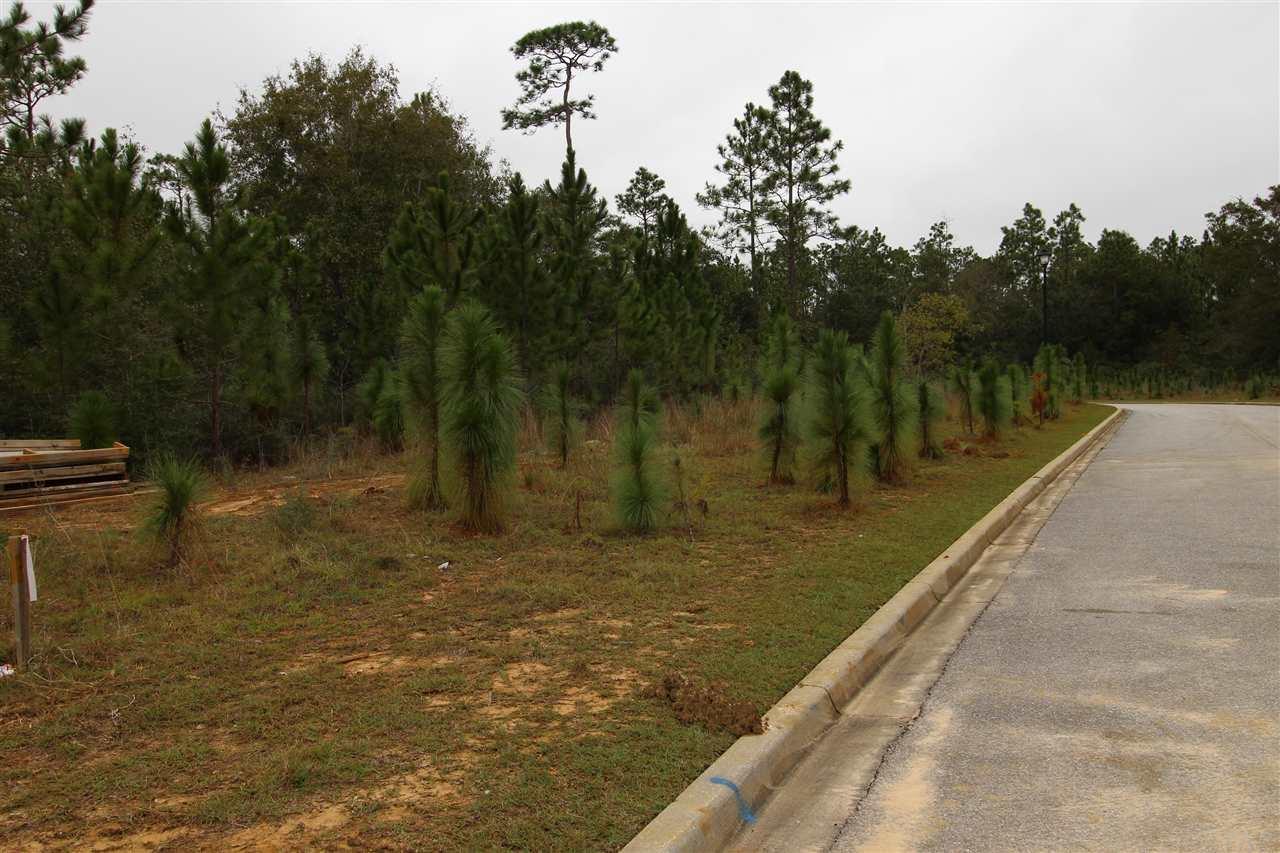 10299 Lyttleton Loop Lillian, AL 36549 - Photo 5 of 5
