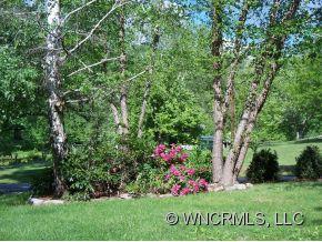 361 Emmas Grove Road Fletcher, NC 28732 - Photo 11 of 11 Gallery Image 11