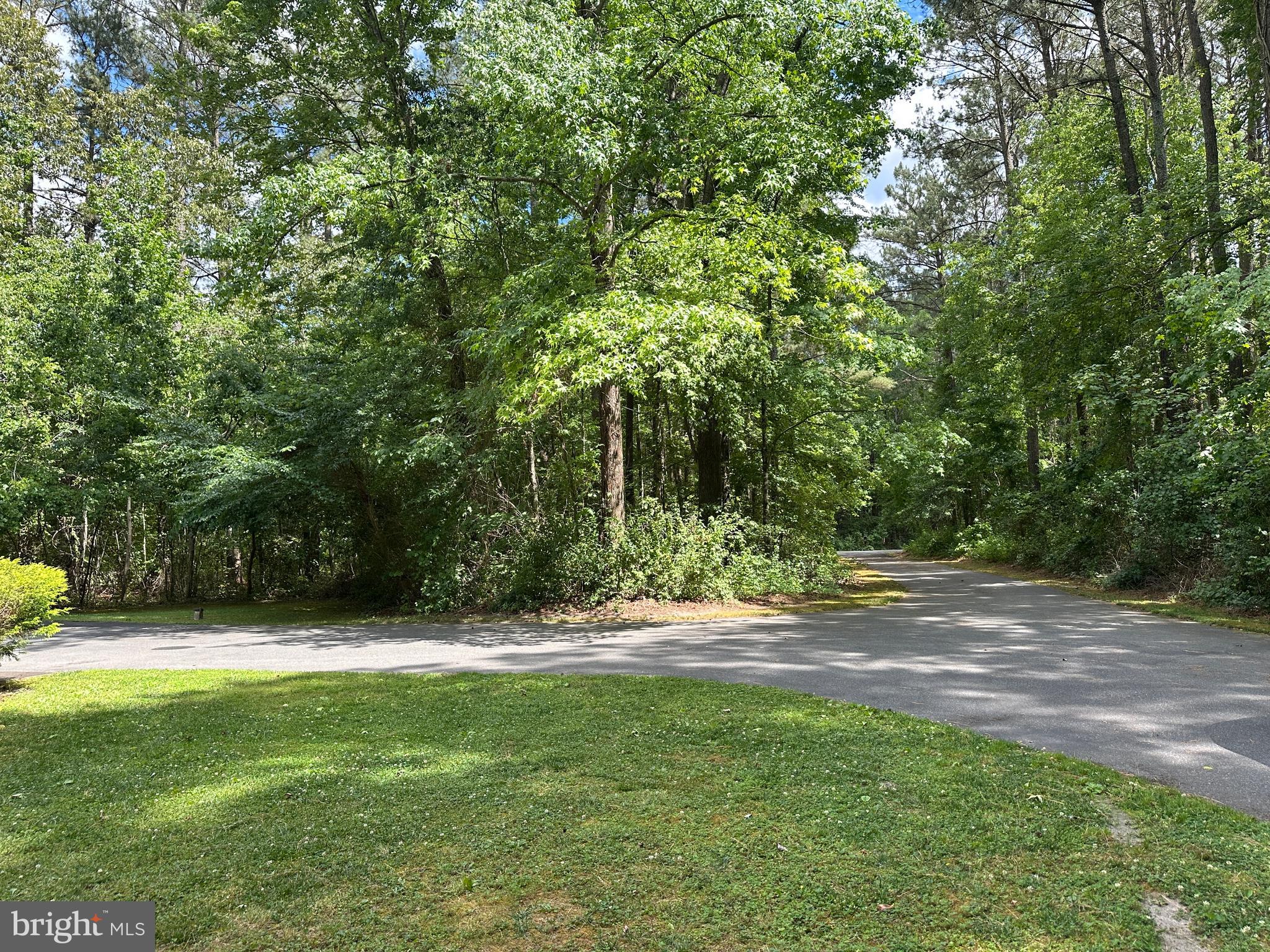 28440 Bloomery Road Federalsburg, MD 21632 - Photo 82 of 94