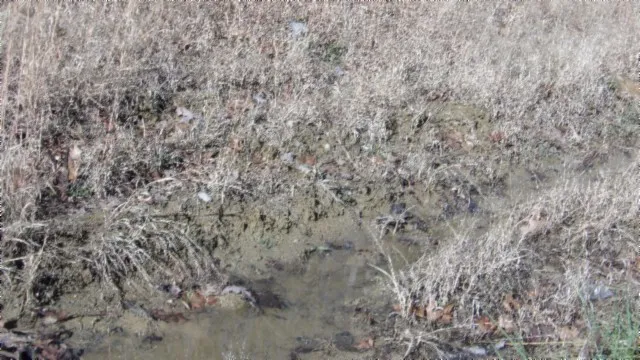 $49,900 | 0 Cheyenne Drive, Jamestown, TN 38556