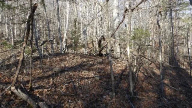 $49,900 | 0 Cheyenne Drive, Jamestown, TN 38556