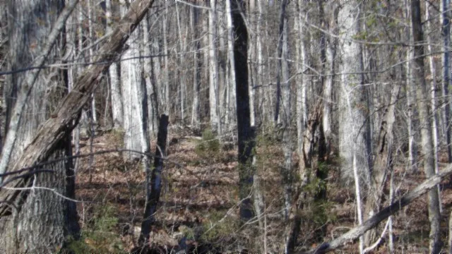 $49,900 | 0 Cheyenne Drive, Jamestown, TN 38556