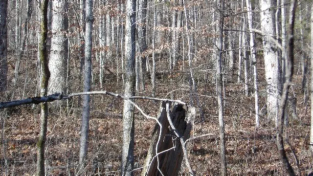 $49,900 | 0 Cheyenne Drive, Jamestown, TN 38556