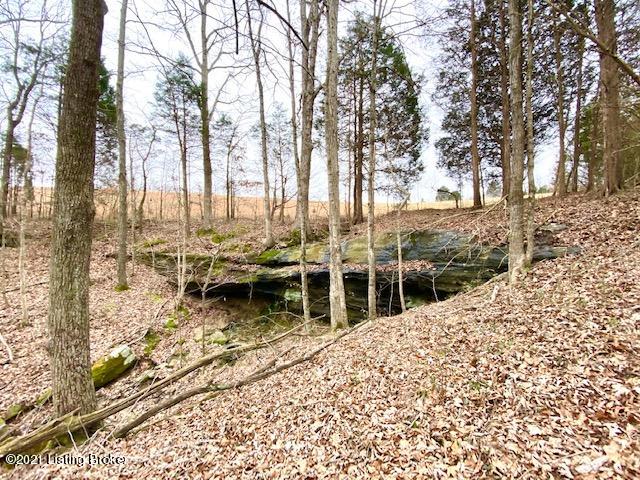 11000 Anneta Road Leitchfield, KY 42754 - Photo 22 of 34 woods 2