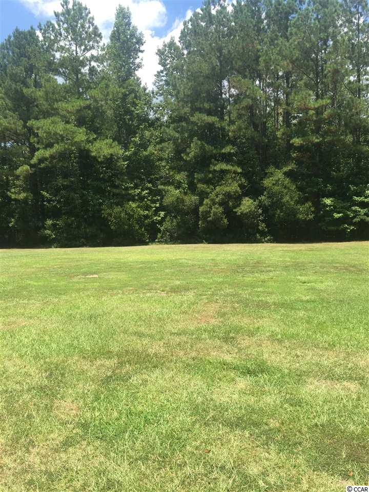3560 Jordanville Road Galivants Ferry, SC 29544 - Photo 11 of 11 Gallery Image 11