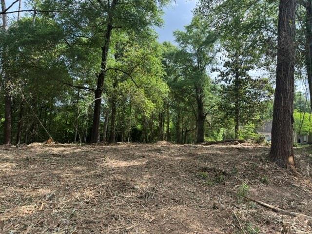 104 Blackburn Place Covington, LA 70433 - Photo 8 of 12
