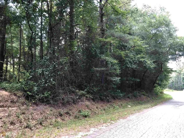a view of a yard with plants and large trees