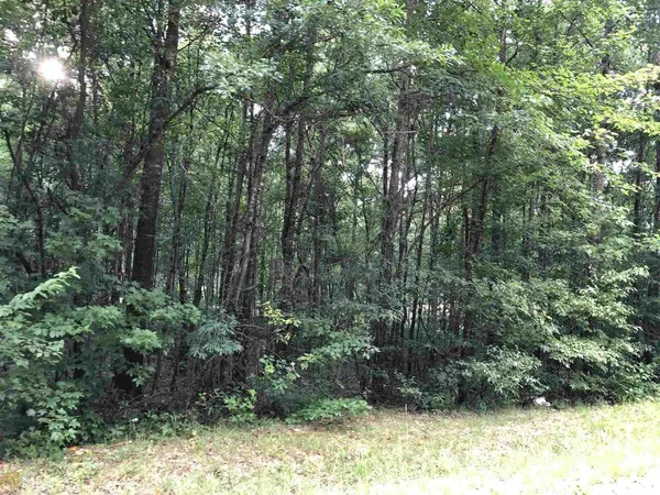 a view of outdoor space and green space