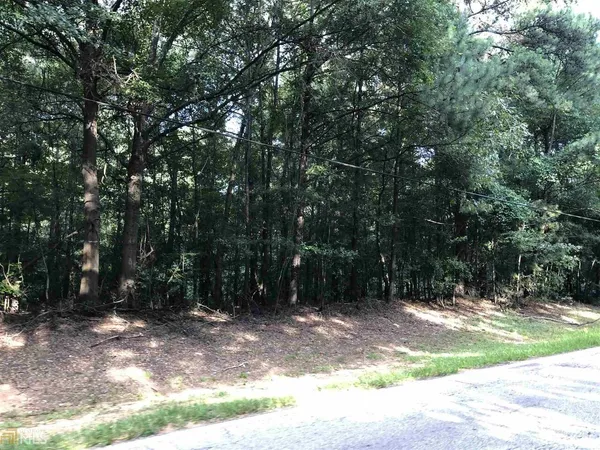 a view of backyard with green space