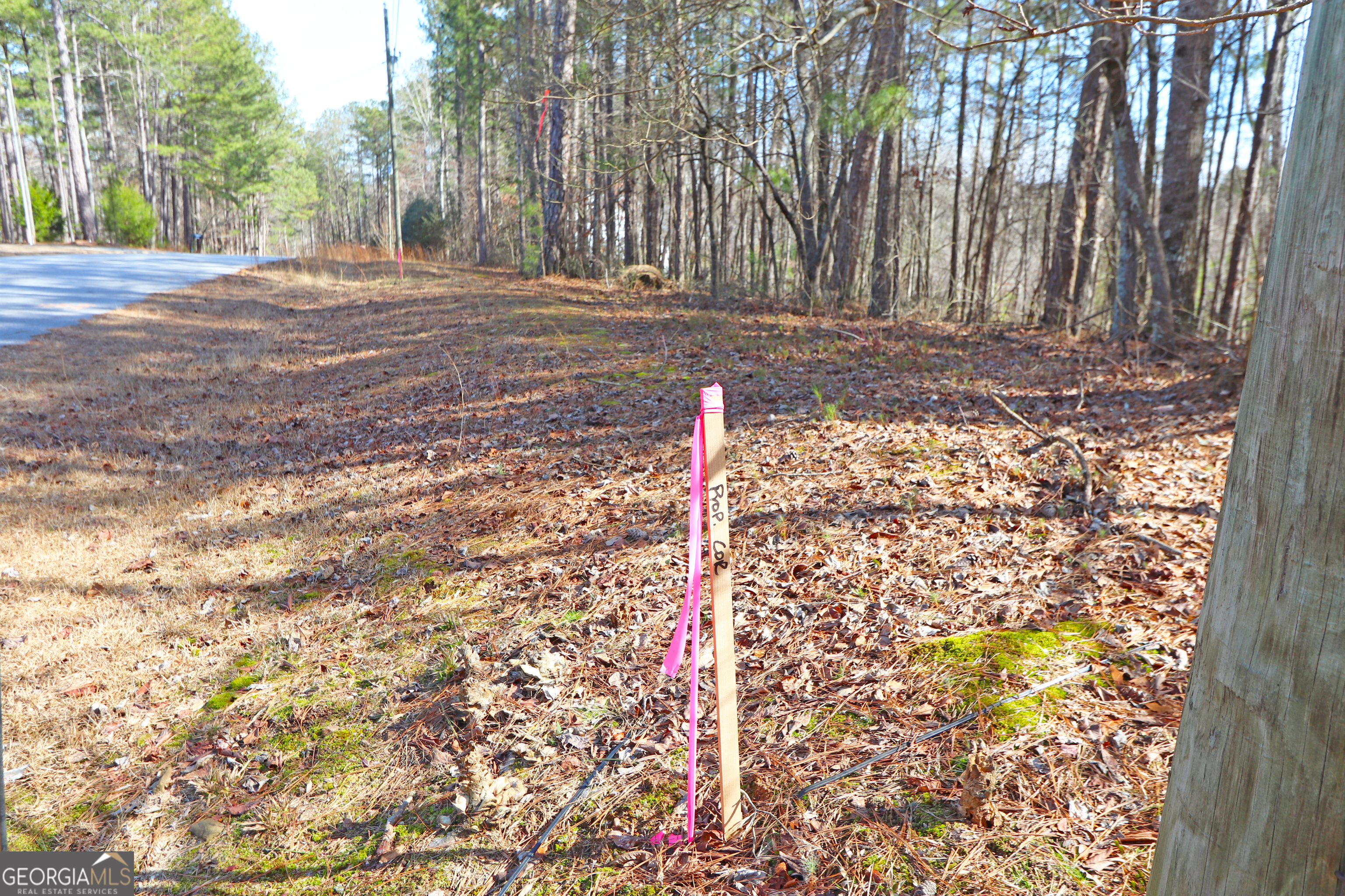 9105 Tarnwood Drive Villa Rica, GA 30180 - Photo 1 of 1 a view of a yard with large trees