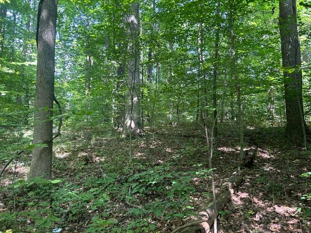 24229 Sanes Creek Road Laurel, IN 47024 - Photo 25 of 54
