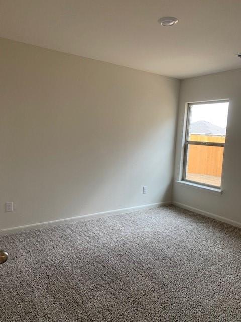 3023 Villegas Way Forney, TX 75126 - Photo 19 of 34 SECONDARY BEDROOM