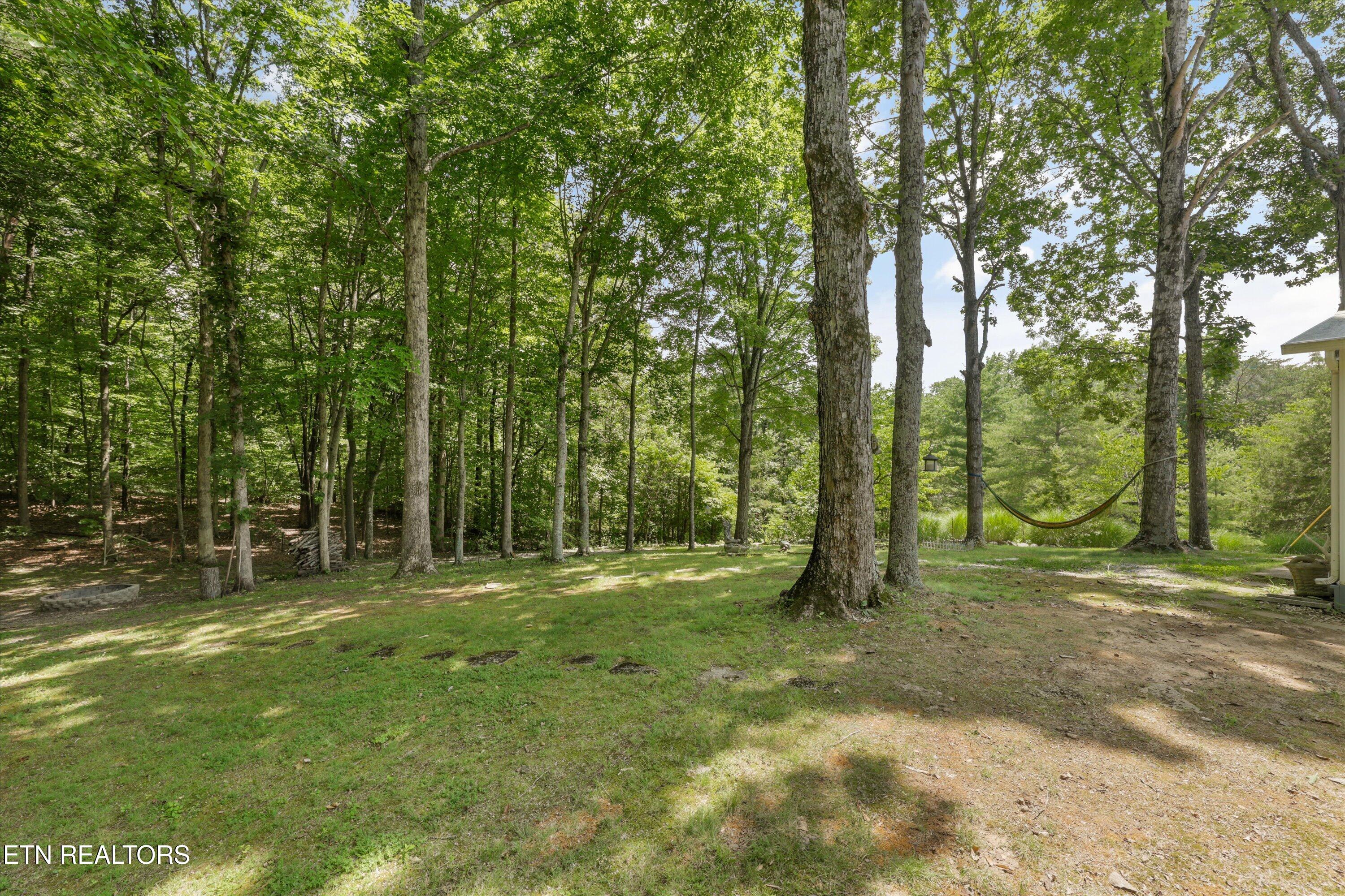 3924 Rocky Branch Road Walland, TN 37886 - Photo 47 of 59 44-3924 Rocky Branch Rd55