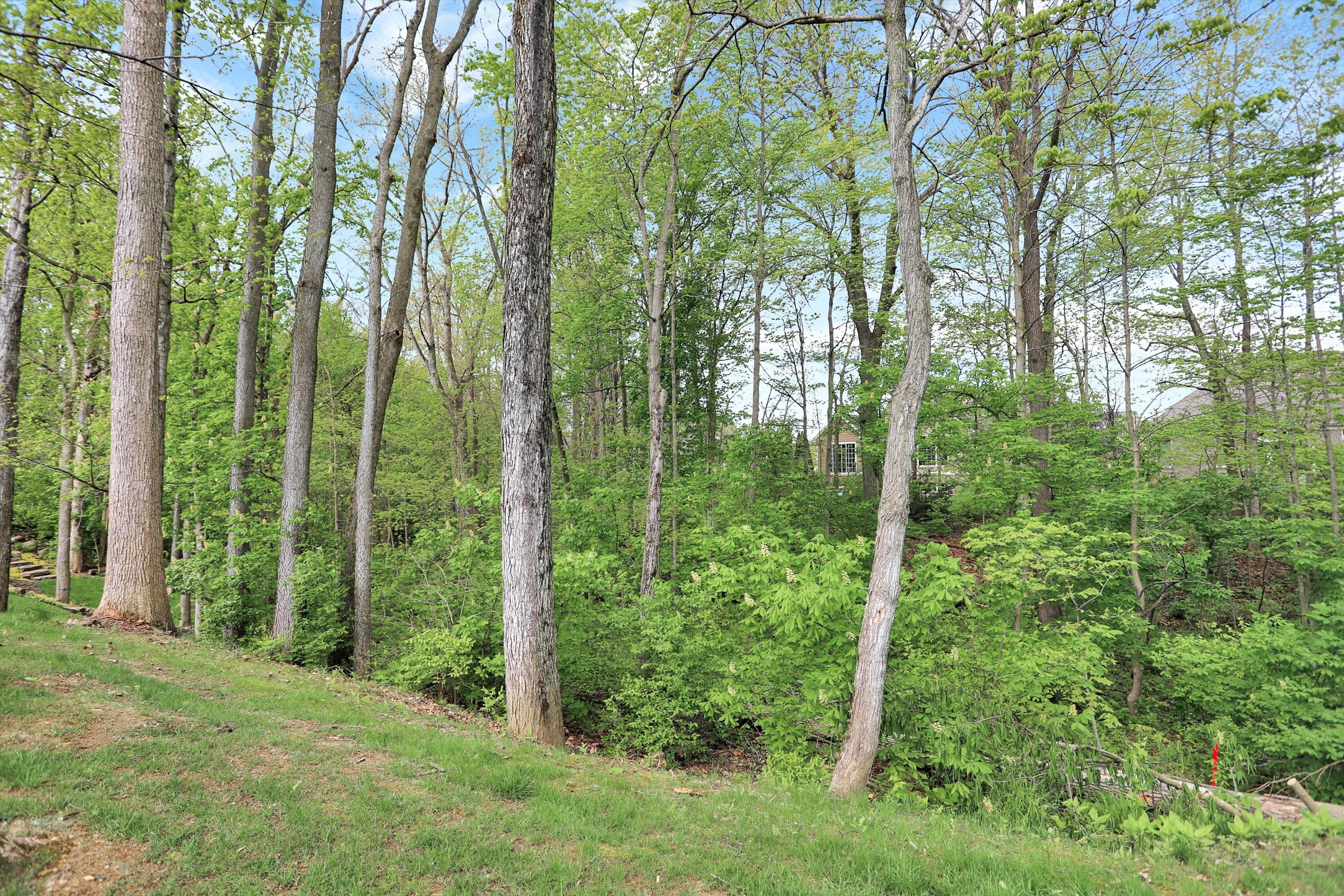 12558 Hidden Spring Cove Fishers, IN 46037 - Photo 6 of 55 Gallery Image 6