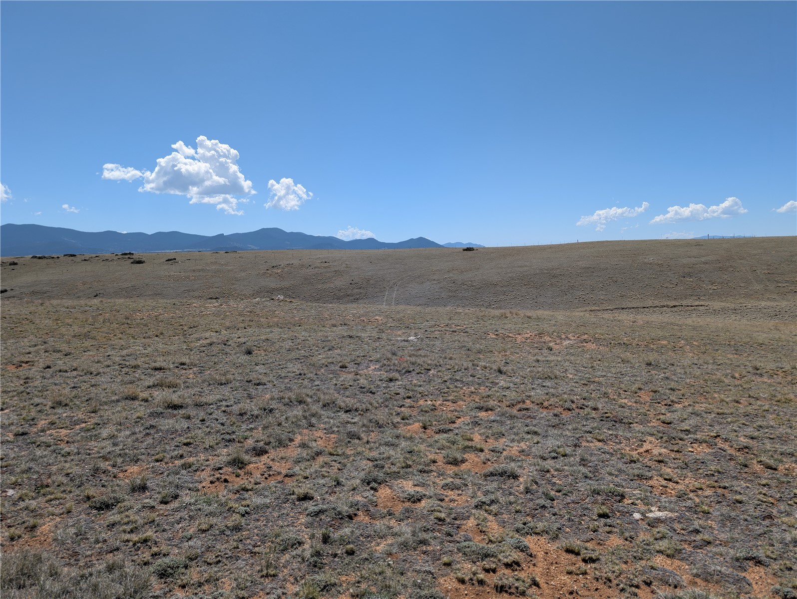 412 Andesite Way Como, CO 80432 - Photo 13 of 22 a view of a lake in middle of forest