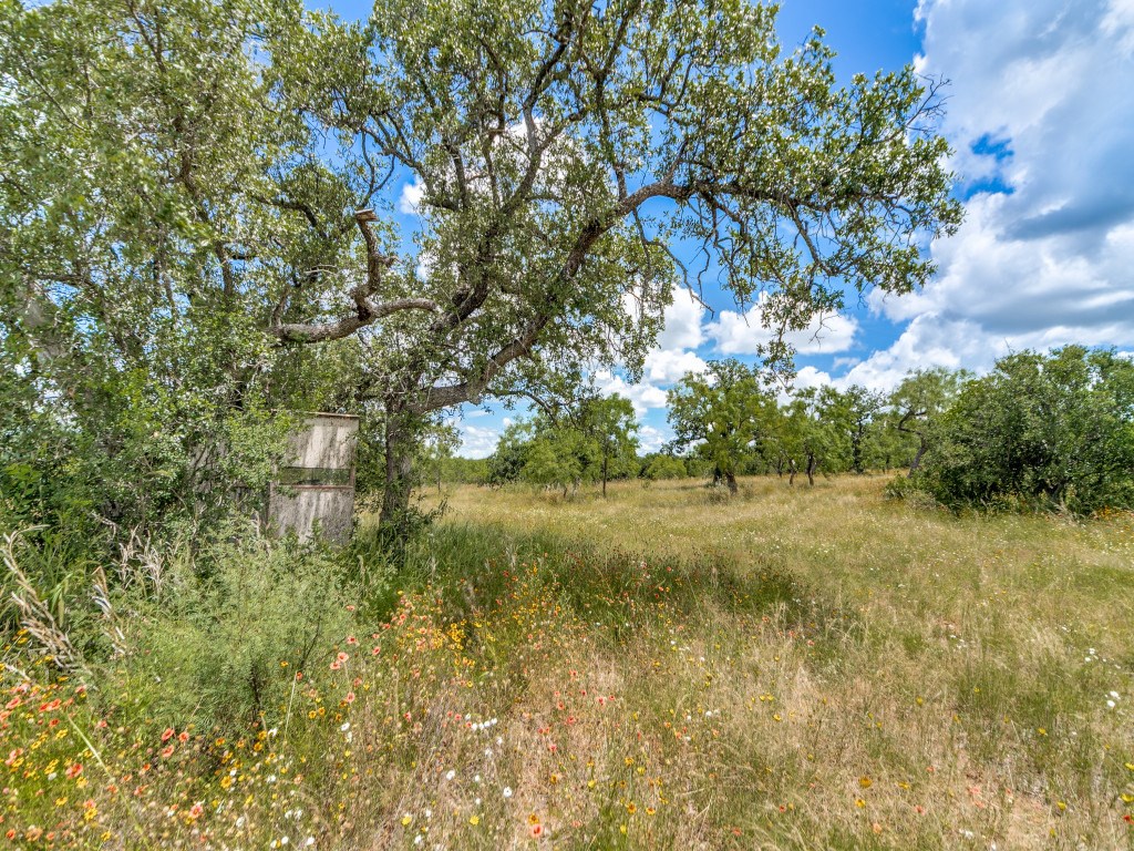 Tbd Hickory Grove Road Pontotoc, TX 76869 - Photo 2 of 19