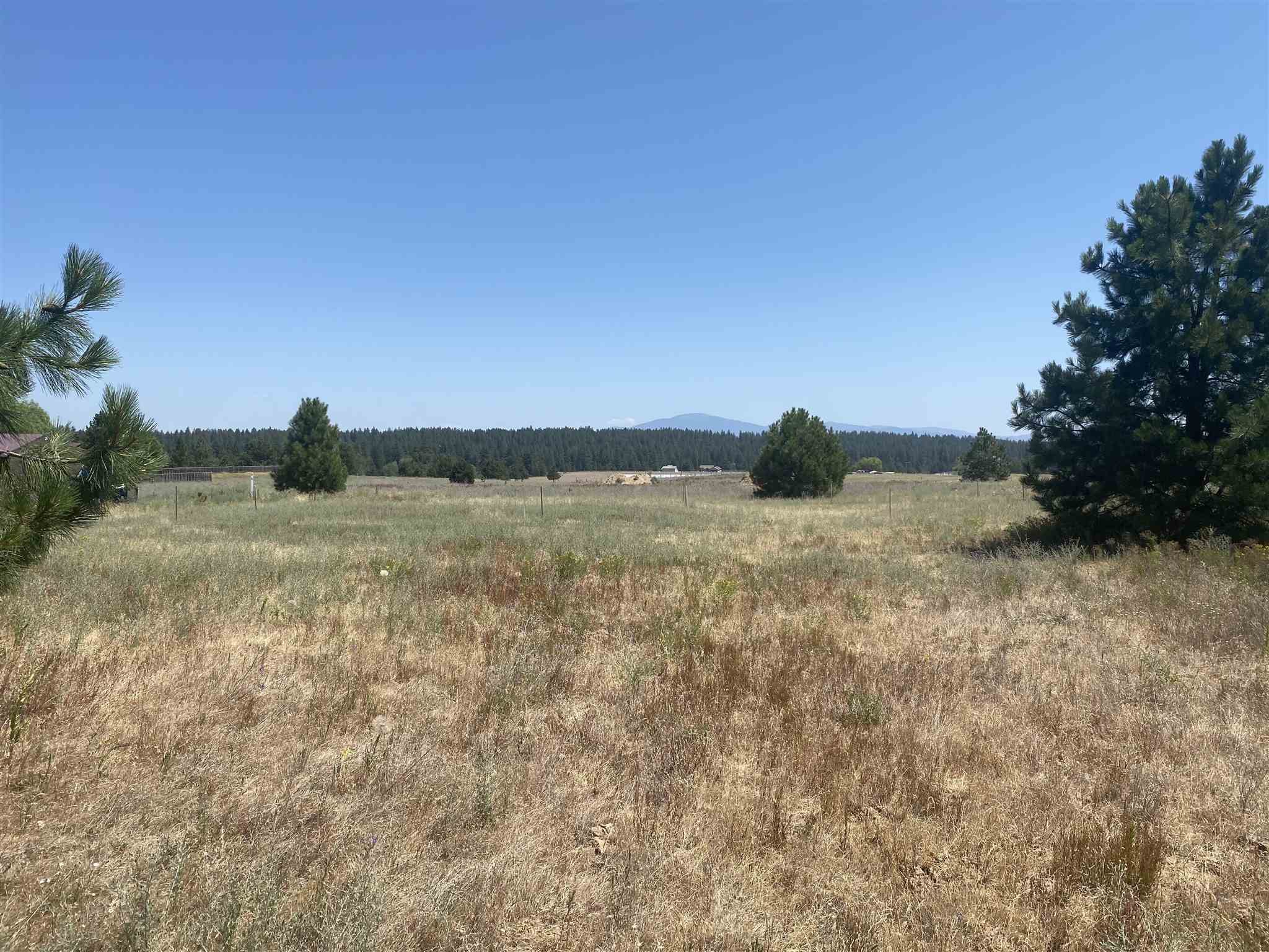 27321 North Monroe Road Deer Park, WA 99006 - Photo 1 of 39 Gallery Image 1