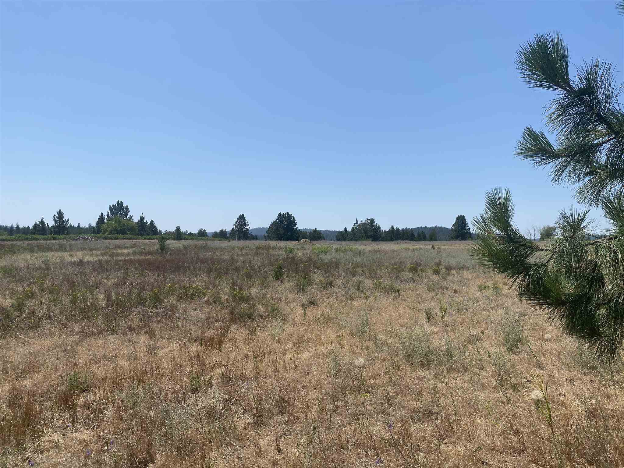 27321 North Monroe Road Deer Park, WA 99006 - Photo 11 of 39 Gallery Image 11