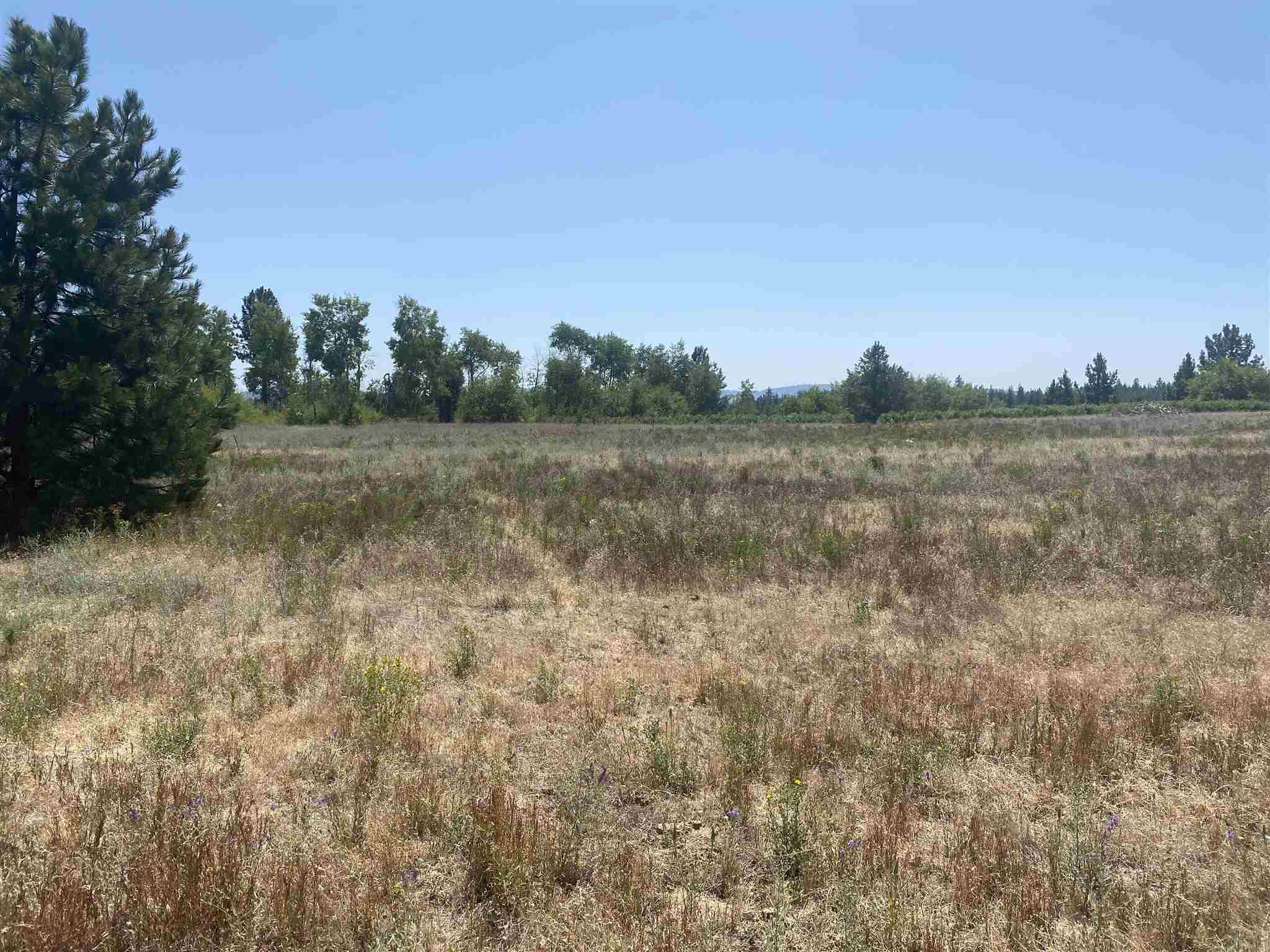 27321 North Monroe Road Deer Park, WA 99006 - Photo 12 of 39 Gallery Image 12