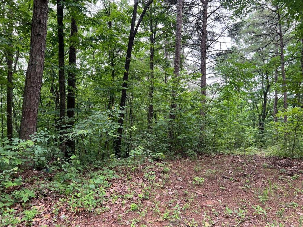 198 Log Round Mountain Trail Talking Rock, GA 30175 - Photo 2 of 5 a view of a lush green forest