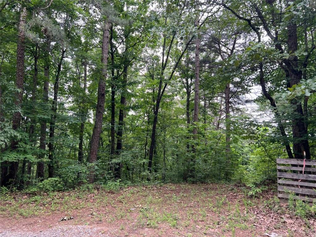 198 Log Round Mountain Trail Talking Rock, GA 30175 - Photo 3 of 5 a view of outdoor space and green space