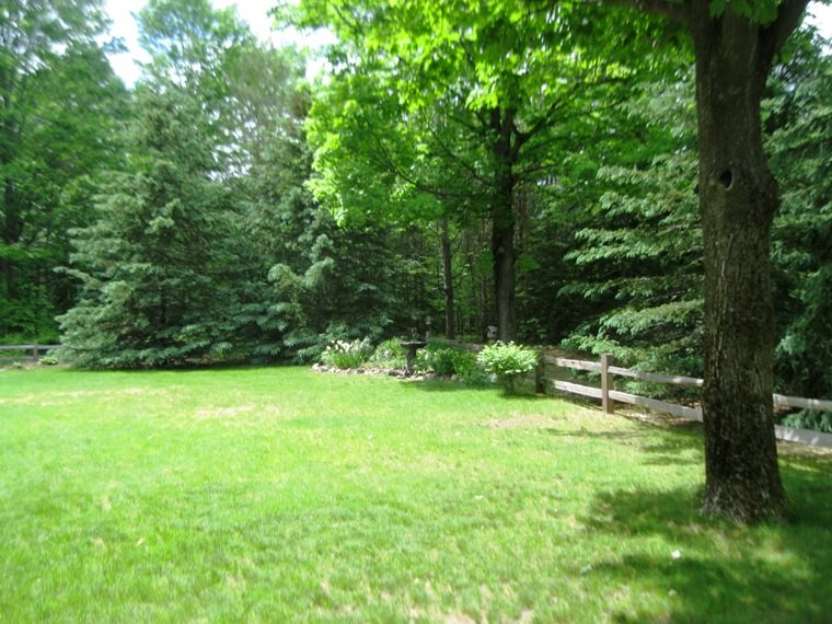 90 Mitchell Road Southeast Kalkaska, MI 49646 - Photo 34 of 43 1817798-34.JPG